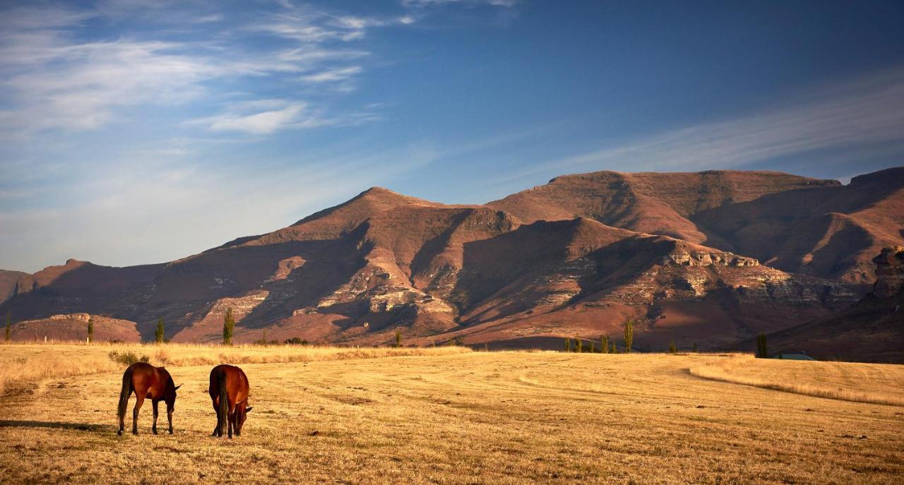 شقة Dynasty Red Mountain Ranch كلارينس المظهر الخارجي الصورة