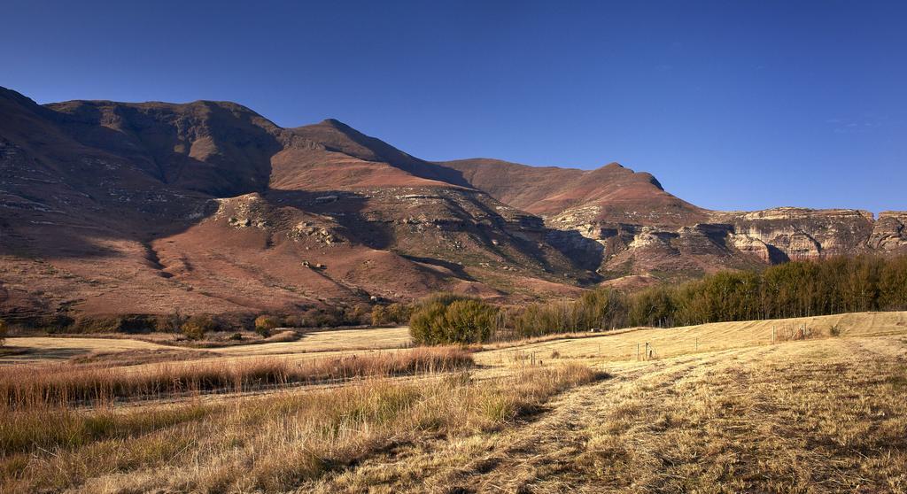 شقة Dynasty Red Mountain Ranch كلارينس المظهر الخارجي الصورة