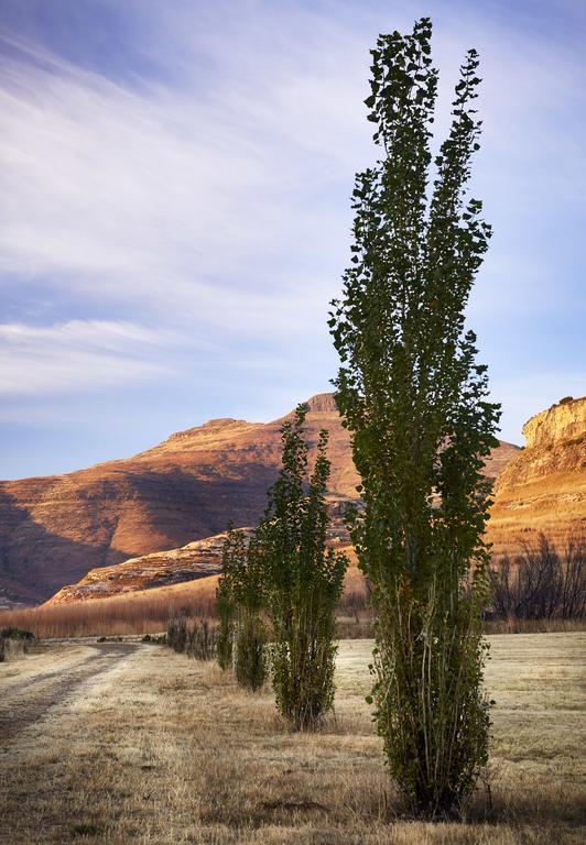 شقة Dynasty Red Mountain Ranch كلارينس المظهر الخارجي الصورة