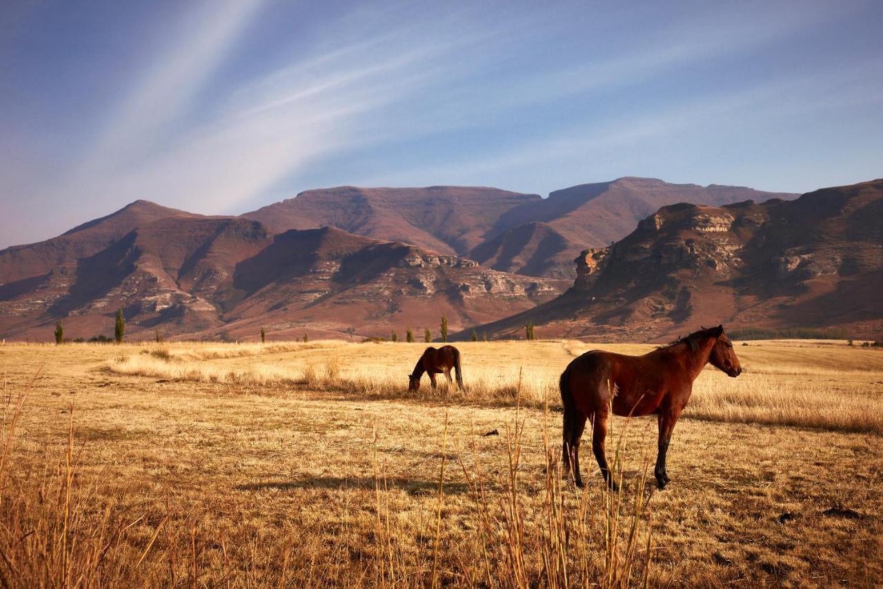شقة Dynasty Red Mountain Ranch كلارينس المظهر الخارجي الصورة