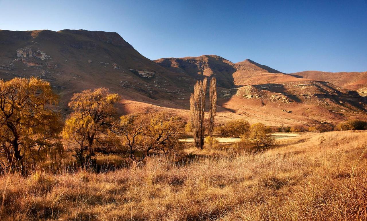 شقة Dynasty Red Mountain Ranch كلارينس المظهر الخارجي الصورة